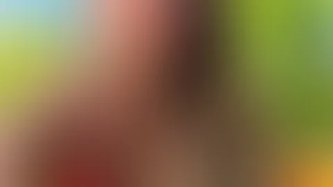 Schönen guten Morgen đâïž