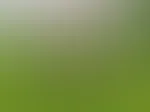 latex im garten