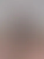 Feed Edition đïž