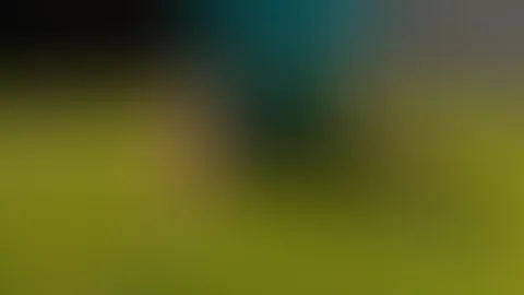 ⚽️🍺⚽️