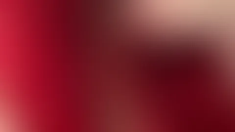 Merry XMAS