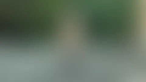 Allgemeine Verkerhskontrolle