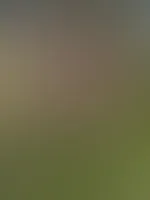 Das komplette Fotoset jetzt in meinem Profil, mit ganz tiefen Einblicken ;)