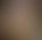 Feed NUR 9,99⏠heute!đ