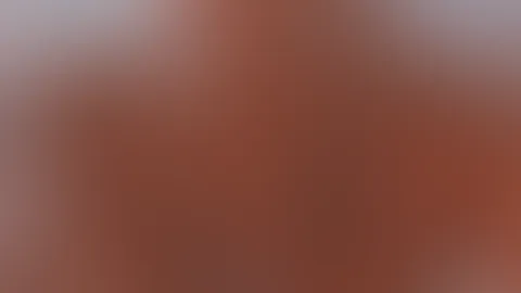 Heii, folg mir doch um nichts zu verpassen ♥️