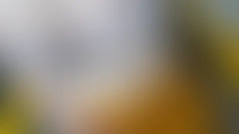 Guten Morgen Baddiies đ Saklven und alle devoten MĂ€nner. Vor allem an alle Toyboys und die, die es werden wollen đ