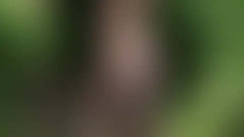 Nackt im Wald... hoppala, ich glaube ich habe vergessen mir was anzuziehen 🤭🤭🤭