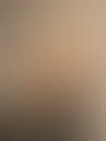 Nylons đ