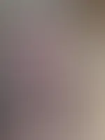 Holla