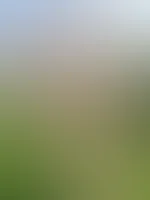 Nackt sonnen im Garten đ±âïž
