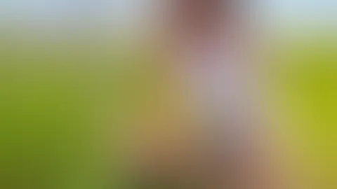 Ich will den Sommer zurück
