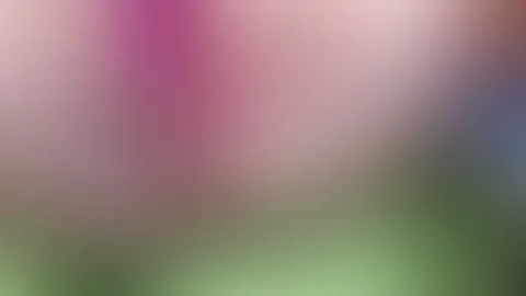 Mein erstes A**l SB Video