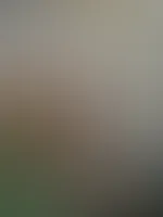 Ich bin dann mal in Österreich für euch unterwegs