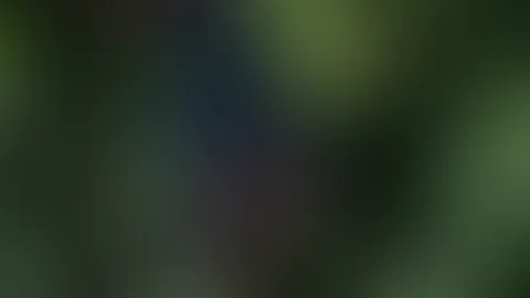 ein letzter Rundgang durch den Wald ... hast du auch nichts verpasst? Von mir wird noch vieles folgen...