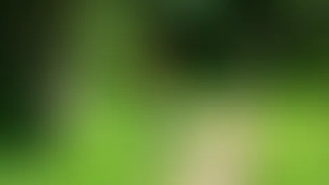 Meinen Rasen mähe ich immer ganz nackt