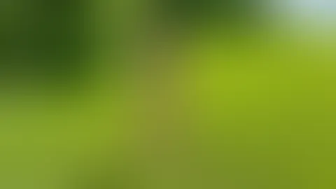 Im Spitzendessous auf der Wiese posieren
