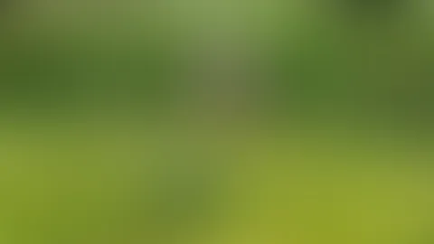 Guten Morgen im Grünen... 🌲🎀