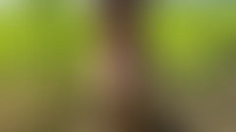 Wo gefällt euch der Anblick?😏