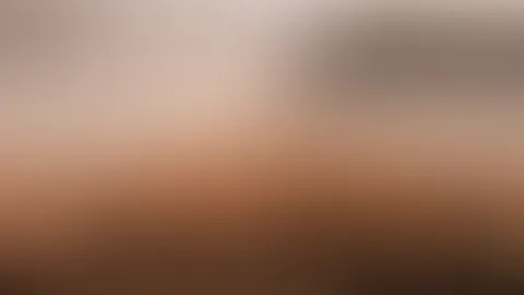đ§đ»