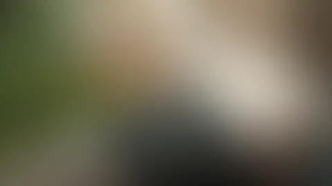 Türchen Neunzehn 🎄 heisse Nylons unterm Weihnachtsbaum 🎅🏽 🎄 nur du und dein Prachtkerl fehlen 🥰 😜 🎀🎁 Feedpreis ist NUR HEUTE auf 19,99 gestellt ❤️🔥 schnell zuschlagen 🎄 ab Samstag wieder No