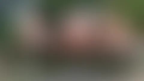 3 Vögel auf der Stange