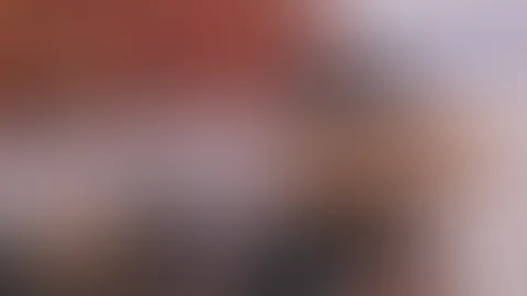 đČđđđđđđđđđđ đđđđ đŠđ