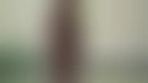 Ich zeig mich dir teil 2