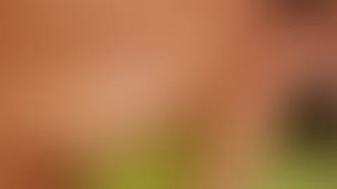 Sieh zu wie ichs mir mit meinem Holzdildo mache!