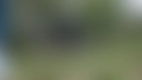 Wie versprochen hier ist das Video von unserem letzten Date im Spätjahr 2020 Kim und ich waren spazieren und haben es uns auf einer Parkbank gegenseitig besorgt😋😍 Bis so ein Typ vorbei kam...Uppsi😅
