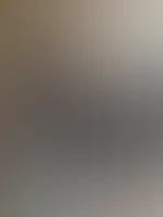 đ