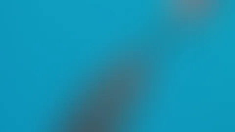 Plantscht ihr auch so gern?