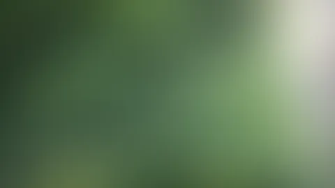 Beim P*****n erwischt und schamlos ausgenutzt