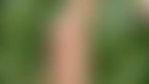 Komplett nackt stehe ich im Maisfeld