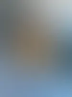Was für eine Serie wollt ihr als Nächstes sehen?