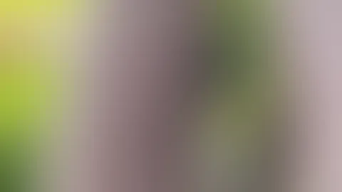 Das Leben besteht nicht nur aus Sonnenschein. Aber genau deshalb fühlt sich jeder schöne Moment doppelt wertvoll an. 🤍