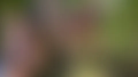Hier sind wir nicht mehr so brav geblieben đâ€ïž direkt in den Dirndl zwei S******e abgeschleppt đ