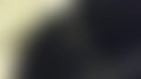 Ich wünsche euch einen schönen Abend