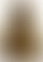 20% Rabatt ➡️ Code ➡️ 1.Advent Time. Gültig bis 1.12.25