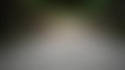 komm rette mich
