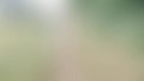 V. I. P P**i Feed Video Nr. 4 (Outdoor)
