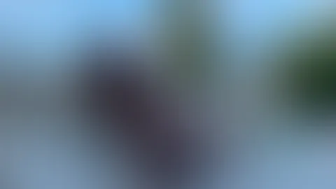 Natürlich weiss ich wie Leben geht ! Und du?