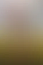 Komm mit mir ins Rapsfeld 🔥