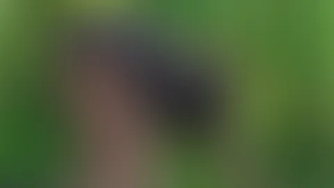 Ups… habe mich nach einem Löwenzahn gestreckt und mein Kleid ist viel zu kurz 🍑 Jetzt ist alles zu sehen… Gib zu, gefällt dir der Anblick? 💦