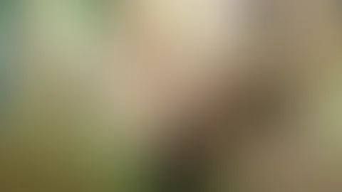 Mit mein schwarzen Dildo