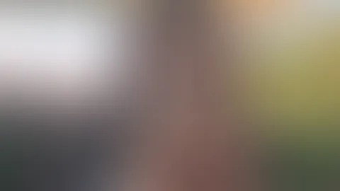đ