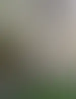 🤭