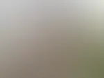 Guten Morgen aus Hamburg ❤️