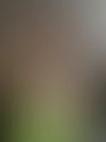 Diese Titten wollen verwöhnt werden… bist du bereit, es richtig zu machen? 😈💋