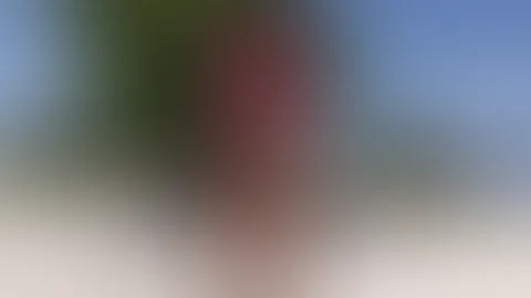 Mit jedem Schritt genieße ich die Aussicht ein bisschen mehr. Sonne, Meer und Freiheit – was braucht man mehr?