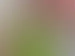 Na, und was hast du heute schon gemacht? Ich hab mit meinem Dildo gespielt 😇